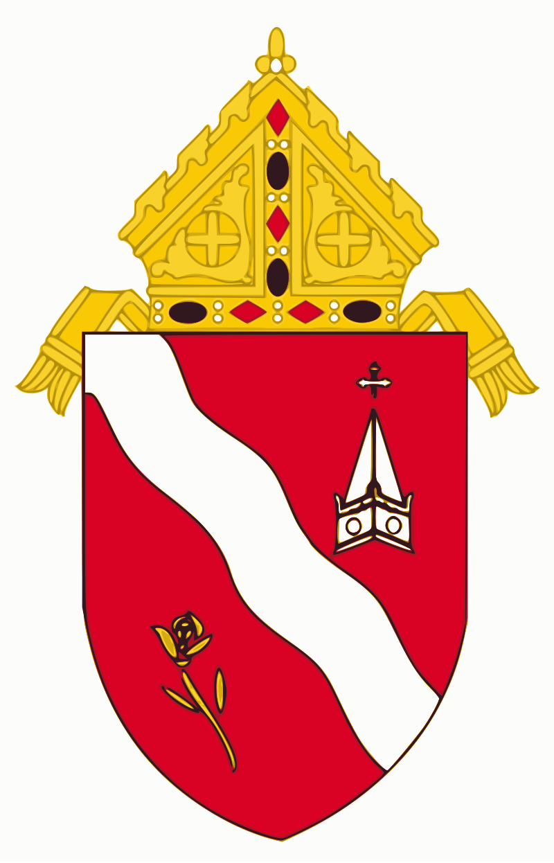 Diocese of Laredo ZIP Codes